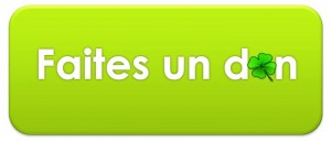 BOUTON FAITES UN DON